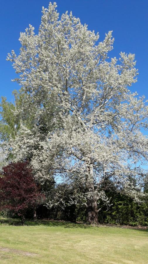 Chambres D'Hotes Le Muguet Mandacou Dış mekan fotoğraf